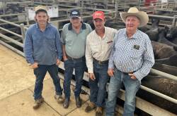 FEATURE DRAFT: Dennis Heywood (right) DKF Heywood & Sons, Glenlock, Everton, sold 683 Angus mixed-sex calves, nine and 10 months, at Wangaratta on Wednesday. Pictured with Rory Kruse, friend Keith Kuch and son Lachie Heywood.