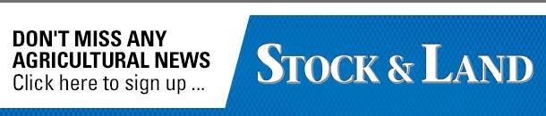 Casterton steers pass 830c/kg as 90 per cent of cattle head north