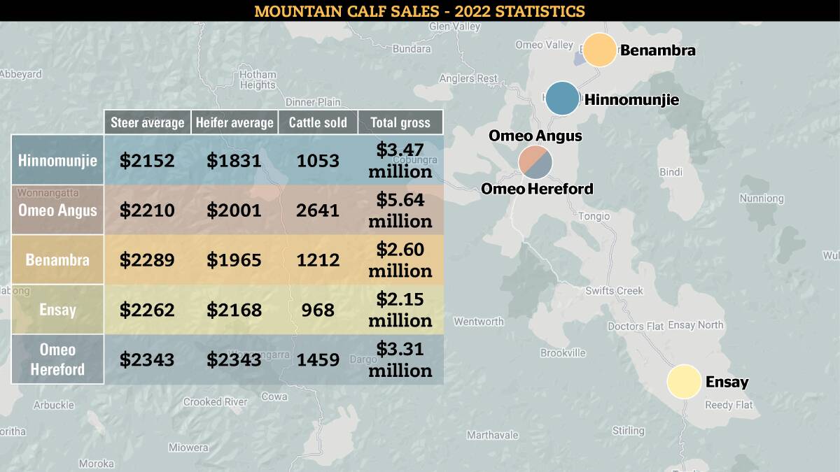 AT A GLANCE: More than 7300 cattle were sold in Victoria's high country during the annual 82nd Mountain Calf Sales. AT A GLANCE: More than 7300 cattle were sold in Victoria's high country during the annual 82nd Mountain Calf Sales.