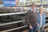 FEATURE: Regular providers of top drafts of weaners at Colac were Mark and Leah Jacob, South Dreeite, who sold steers to $2510 at 388kg or 648c/kg and heifers to $2150 or 649c/kg at 331kg.