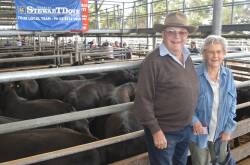 FEATURE: Regular providers of top drafts of weaners at Colac were Mark and Leah Jacob, South Dreeite, who sold steers to $2510 at 388kg or 648c/kg and heifers to $2150 or 649c/kg at 331kg.