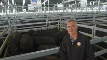 HAPPY:Richard Glenane, Dunnstown, sold this pen of 10 TeMania blood steers, 48kg, for $1950 or 402c/kg.