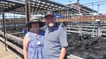 HAPPY: Marcia and Michael Crowe, Leeanach, Portland, sold this pen of 23 steers, 357kg, for 316c/kg, or $1127 a head.