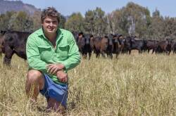 Rodda Manning, Davilak Pastoral Company, with the weaners that will be offered for sale at the Northern Victorian Livestock Exchange, Barnawartha, in the New Year. Photo by Emily McCormack.
