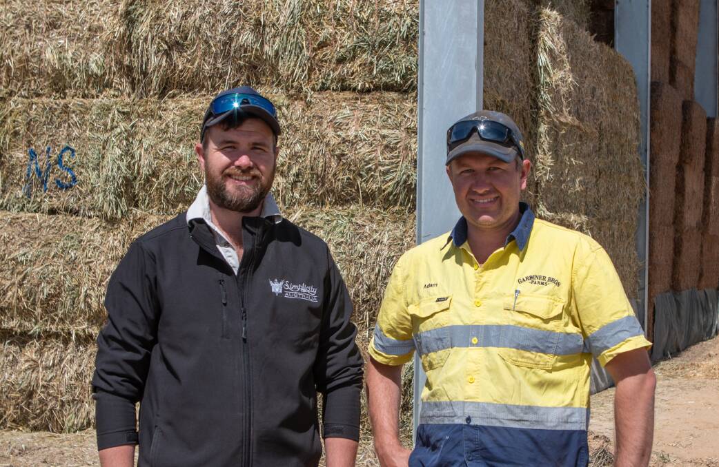A game of patience: Brothers Adam and Peter Gardiner 