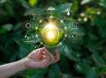 Future outlook: Australian ag leaders share insights on the challenges and opportunities ahead