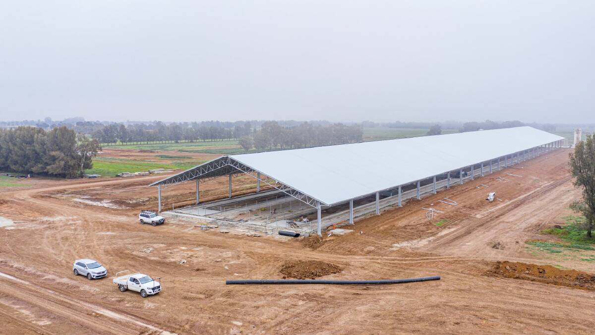 The barn became home to 1200 of the Clymo's milking herd last month Picture: Supplied.