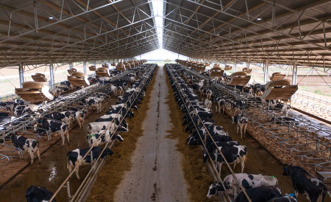 Calmo farms features a 250-metre-long by 36-metre-wide, 18-degree roof pitch Entegra shed, retrofitted with a US free-stall barn design. Picture: Supplied