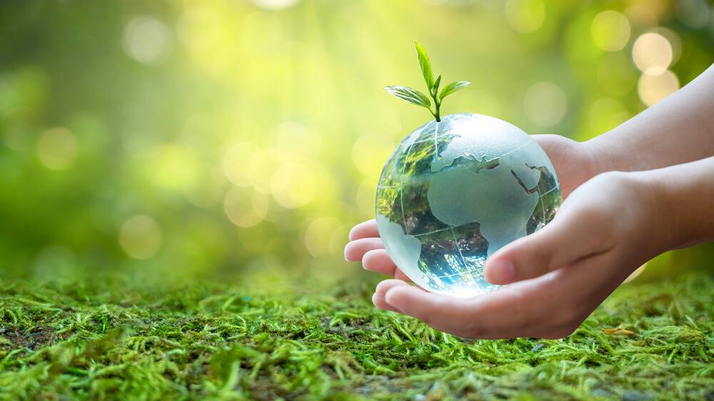 Eye on the future: Leaders committed to sustainable practices