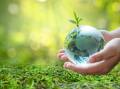 Eye on the future: Leaders committed to sustainable practices