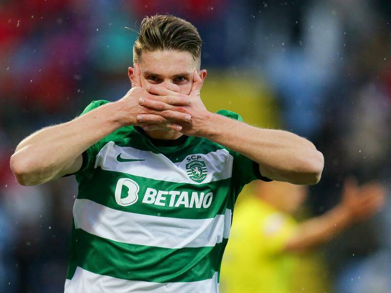Arsenal have ended their search for an out-and-out goalscorer by signing Swede Viktor Gyokeres. Photo: EPA PHOTO Arsenal have ended their search for an out-and-out goalscorer by signing Swede Viktor Gyokeres. Photo: EPA PHOTO