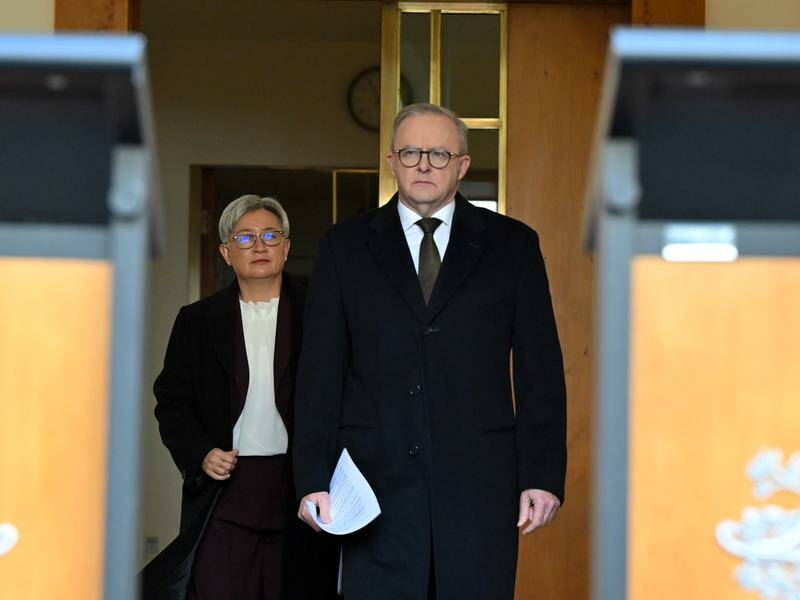 Australia will back Palestinian statehood in line with the United Kingdom, Canada and France. Photo: Mick Tsikas/AAP PHOTOS