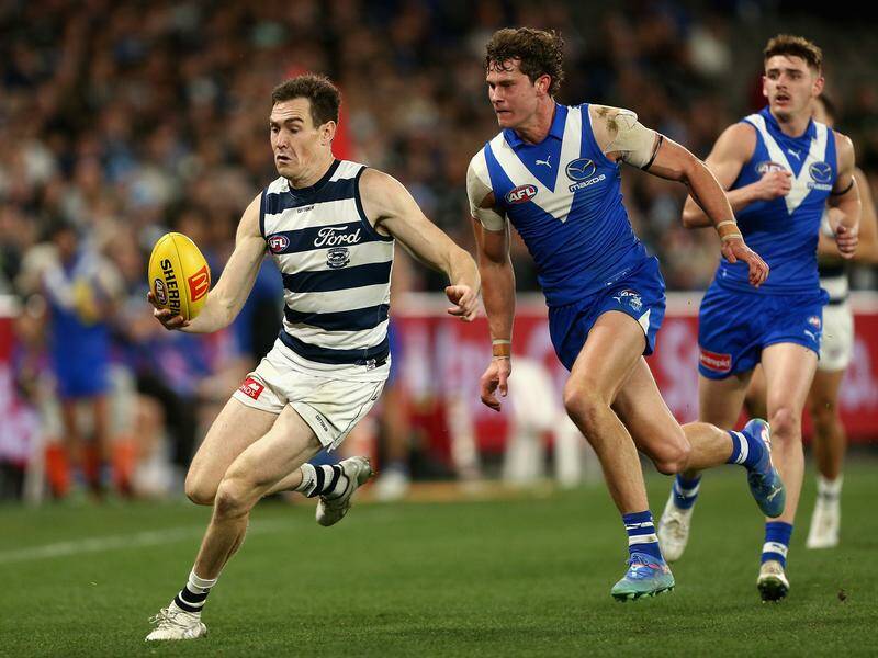 Geelong's Jeremy Cameron led North Melbourne's defenders a merry dance on his way to 11 goals. Photo: Rob Prezioso/AAP PHOTOS