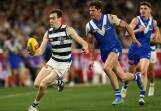 Geelong's Jeremy Cameron led North Melbourne's defenders a merry dance on his way to 11 goals. Photo: Rob Prezioso/AAP PHOTOS