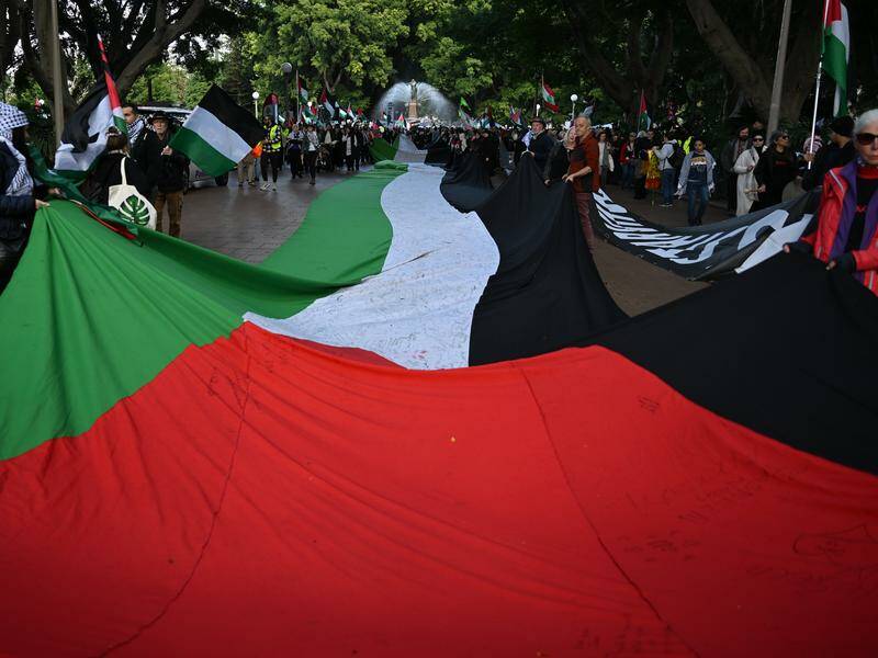 Years of protests have built momentum towards Australia recognising the state of Palestine. Photo: Dean Lewins/AAP PHOTOS