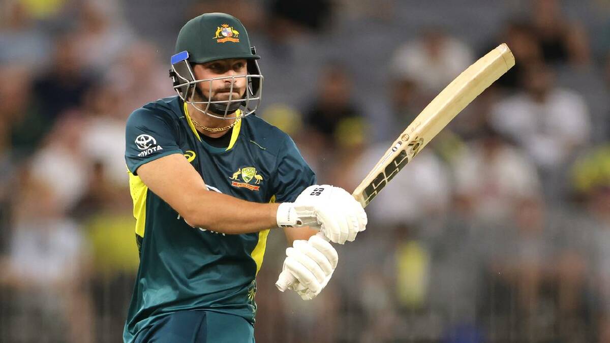 David blasted an unbeaten 102 off just 37 balls. (Richard Wainwright/AAP PHOTOS)