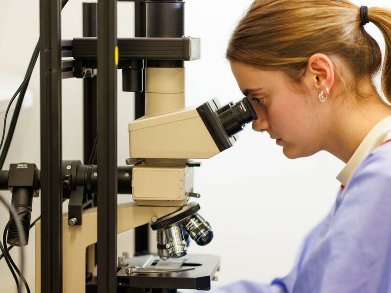 Australia has been falling behind in investment in research and development, a report says. Photo: Matt Turner/AAP PHOTOS Australia has been falling behind in investment in research and development, a report says. Photo: Matt Turner/AAP PHOTOS