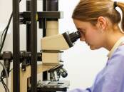 Australia has been falling behind in investment in research and development, a report says.  Photo: Matt Turner/AAP PHOTOS