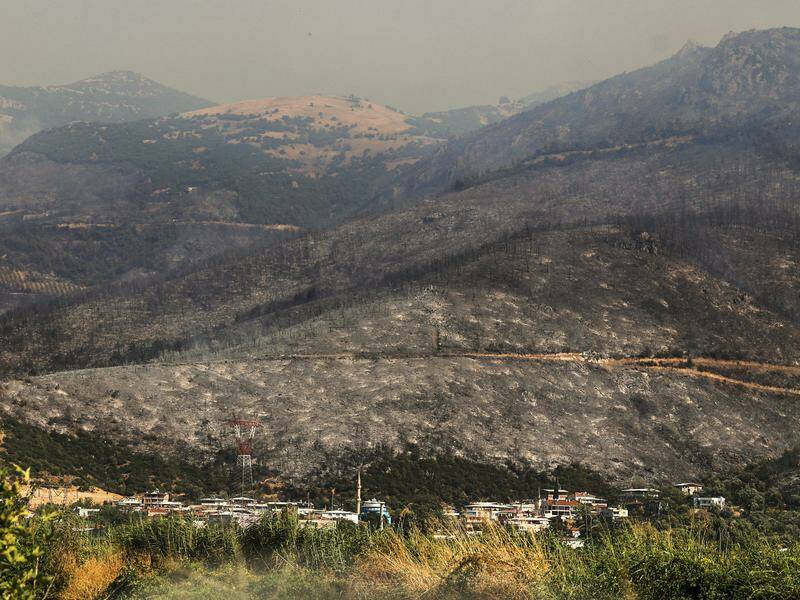 Charred trees and scorched land following a wildfire that swept through the area in Bursa, Turkey. Photo: AP PHOTO Charred trees and scorched land following a wildfire that swept through the area in Bursa, Turkey. Photo: AP PHOTO