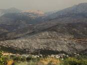 Charred trees and scorched land following a wildfire that swept through the area in Bursa, Turkey. Photo: AP PHOTO