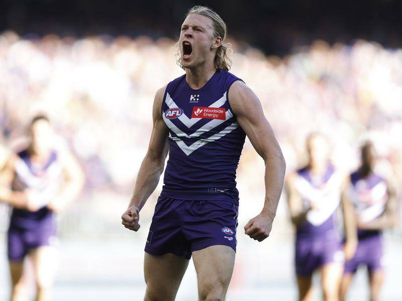 Fremantle's Hayden Young was back to his brilliant best in the easy win over the Eagles. Photo: James Worsfold/AAP PHOTOS