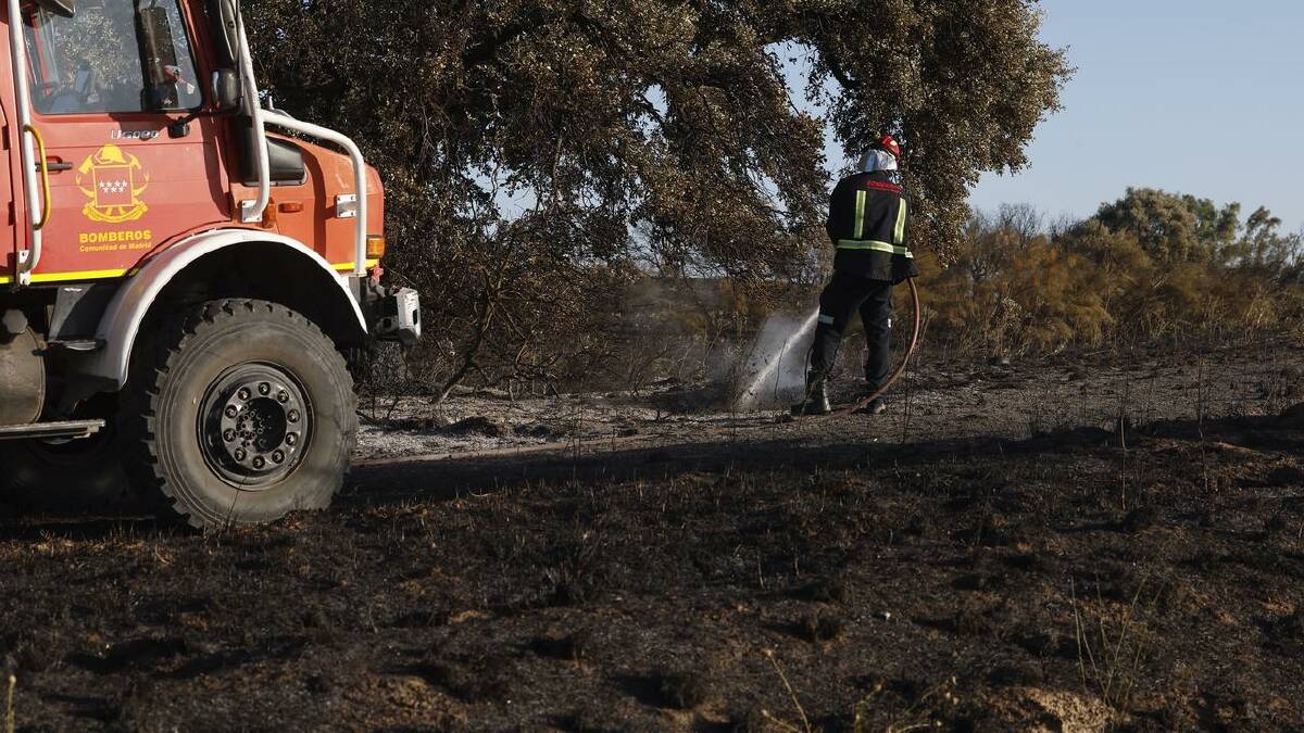 A wildfire that broke out in central Spain ravaged 3200 hectares of woodland. (EPA PHOTO) A wildfire that broke out in central Spain ravaged 3200 hectares of woodland. (EPA PHOTO)