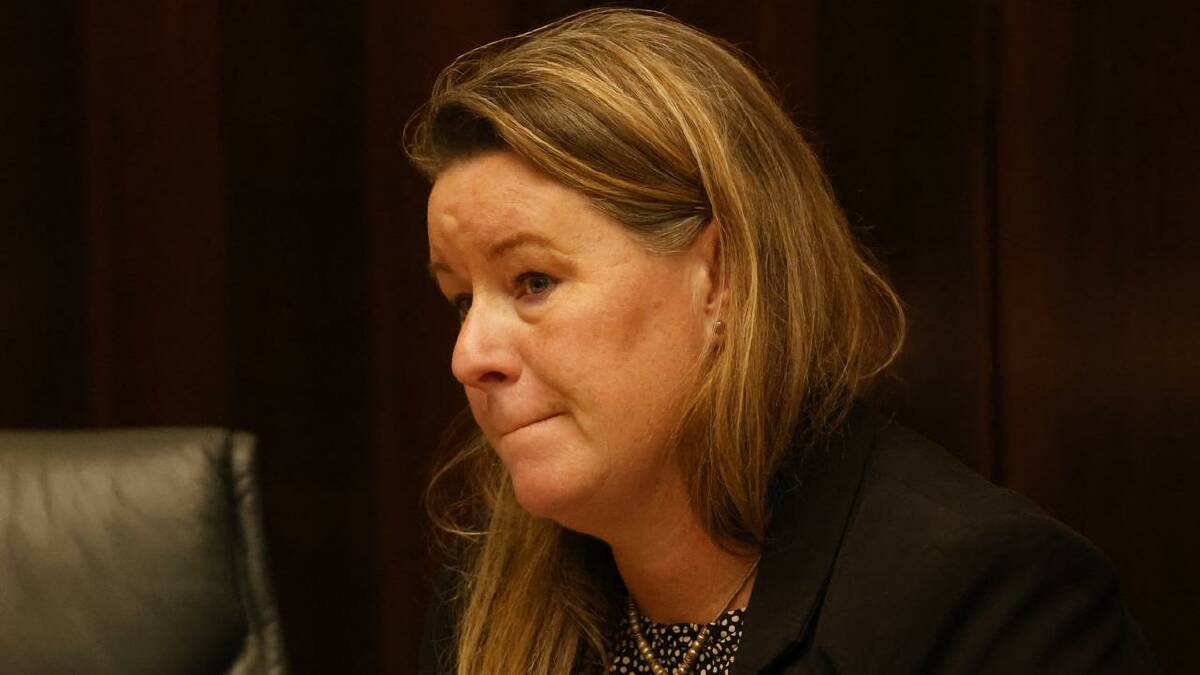 Tasmanian Labor MP Janie Finlay says the opposition is yet to be briefed on the business case.  (Rob Blakers/AAP PHOTOS)