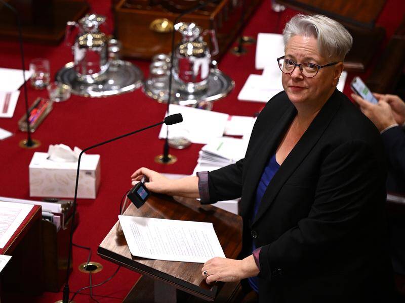 Labor's Environment Minister Penny Sharpe has been escorted from the NSW upper house. Photo: Dan Himbrechts/AAP PHOTOS