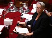 Labor's Environment Minister Penny Sharpe has been escorted from the NSW upper house. Photo: Dan Himbrechts/AAP PHOTOS