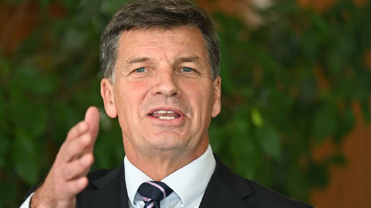Angus Taylor says the recognition of Palestine was a reward to Hamas for the October 7 attacks. (Lukas Coch/AAP PHOTOS) Angus Taylor says the recognition of Palestine was a reward to Hamas for the October 7 attacks. (Lukas Coch/AAP PHOTOS)
