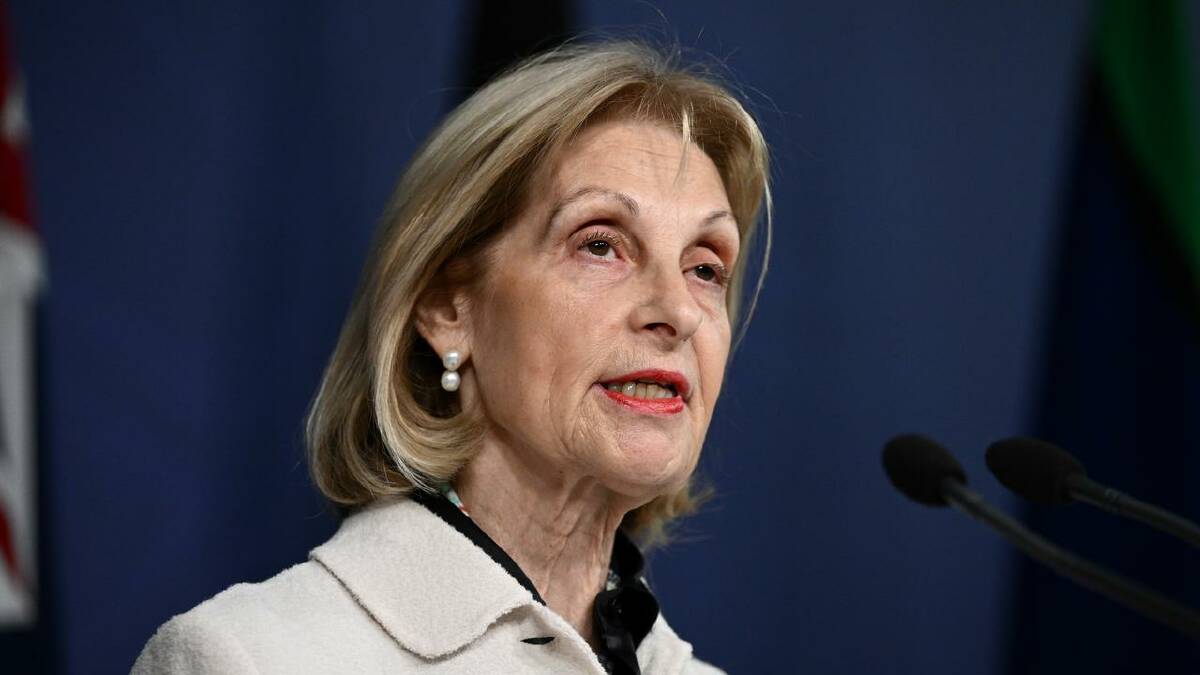 Many Jewish groups want the government to adopt all aspects of Jillian Segal's plan. (Dan Himbrechts/AAP PHOTOS)