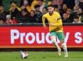 Veteran Mathew Leckie has earned a call to a pre-World Cup selection training camp in Florida.  Photo: Richard Wainwright/AAP PHOTOS