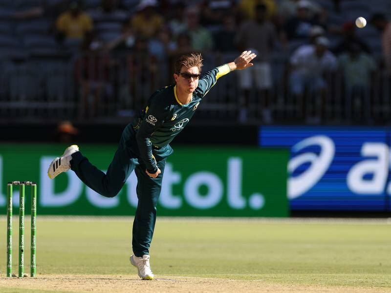 Legspinner Adam Zampa will bring up a century of T20 games for Australia.  Photo: Richard Wainwright/AAP PHOTOS