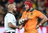 Referee Andrea Piardi reviewed the controversial clean-out but let the Test-winning try stand. Photo: Joel Carrett/AAP PHOTOS