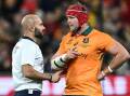 Referee Andrea Piardi reviewed the controversial clean-out but let the Test-winning try stand. Photo: Joel Carrett/AAP PHOTOS