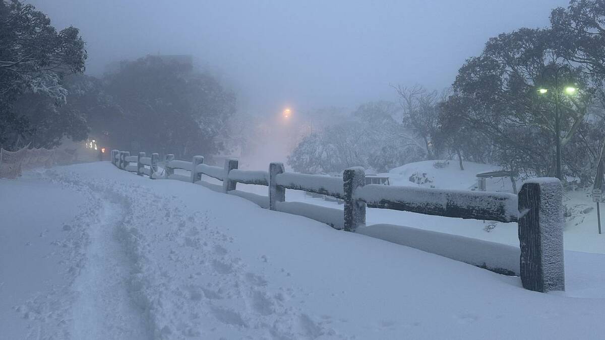 A rain system brought blizzard conditions to popular alpine areas in NSW and Victoria. (HANDOUT/Mt Buller PR)