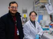 Rahman Daiyan and Xiaoxuan Lou have secured funding for their sustainable aviation fuel research. Photo: HANDOUT/UNSW