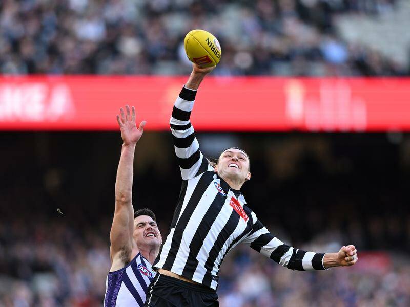 Collingwood skipper Darcy Moore can expect to be involved in more one-on-one battles.  Photo: James Ross/AAP PHOTOS