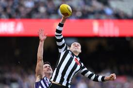 Collingwood skipper Darcy Moore can expect to be involved in more one-on-one battles.  Photo: James Ross/AAP PHOTOS