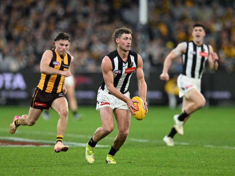 Collingwood's Harry Perryman will be out for at least four weeks due to a hamstring injury. Photo: James Ross/AAP PHOTOS