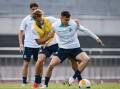 Young Socceroo Paul Okon-Engstler has returned to Sydney after time in Belgium and Portugal. Photo: HANDOUT/FOOTBALL AUSTRALIA