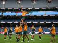 The Wallabies are hoping to leave Melbourne on a high, with a second-Test win over the Lions. Photo: James Ross/AAP PHOTOS