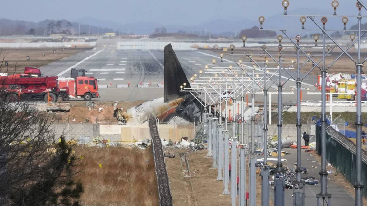 Feathers were found in the engines of the plane that crashed at Muan airport in December. (AP PHOTO) Feathers were found in the engines of the plane that crashed at Muan airport in December. (AP PHOTO)