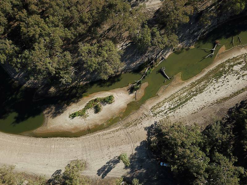 Fish kills and other challenges could prompt a fresh look at plans to help the Murray Darling Basin. Photo: Dean Lewins/AAP PHOTOS Fish kills and other challenges could prompt a fresh look at plans to help the Murray Darling Basin. Photo: Dean Lewins/AAP PHOTOS
