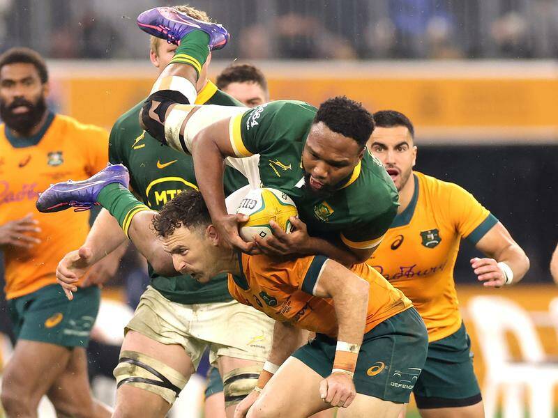 Lukhanyo Am was not named in the South African squad to take on Australia. Photo: Richard Wainwright/AAP PHOTOS Lukhanyo Am was not named in the South African squad to take on Australia. Photo: Richard Wainwright/AAP PHOTOS