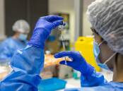 Australia isn't doing enough to anticipate emerging global health threats, a report warns. Photo: Richard Wainwright/AAP PHOTOS