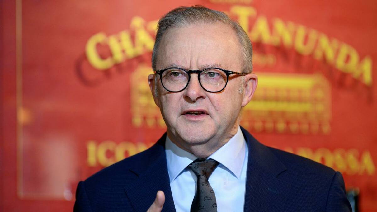 Anthony Albanese says the government is already carrying out some of the plan's suggested actions. (Steven Markham/AAP PHOTOS)