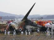 Investigators have updated a preliminary report on a South Korean jet crash that killed 179 people. Photo: AP PHOTO