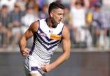 The Dockers hope Patrick Voss will be back to his prancing peak against Hawthorn. Photo: Richard Wainwright/AAP PHOTOS