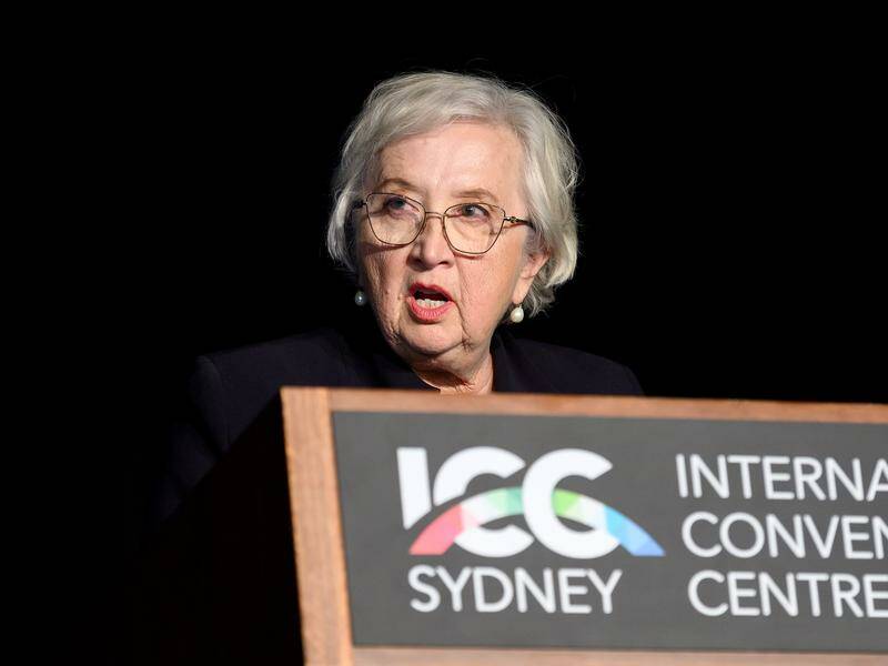 Expert Anne Hollonds says harsher penalties misunderstand the nature of the youth crime problem. Photo: Steven Markham/AAP PHOTOS Expert Anne Hollonds says harsher penalties misunderstand the nature of the youth crime problem. Photo: Steven Markham/AAP PHOTOS